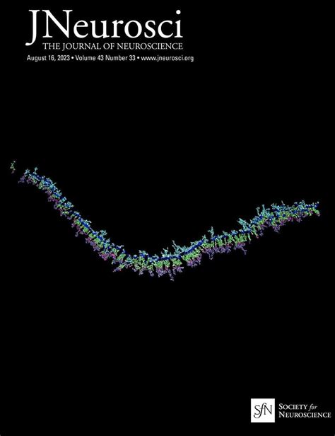 encode encore game guide|Neural populations in macaque anterior cingulate cortex encode .